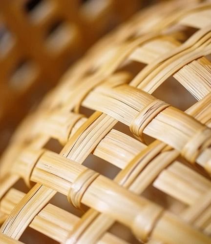 Cane Art & Furniture