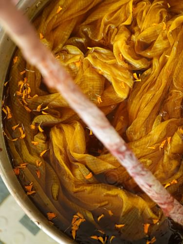 Natural Dyeing