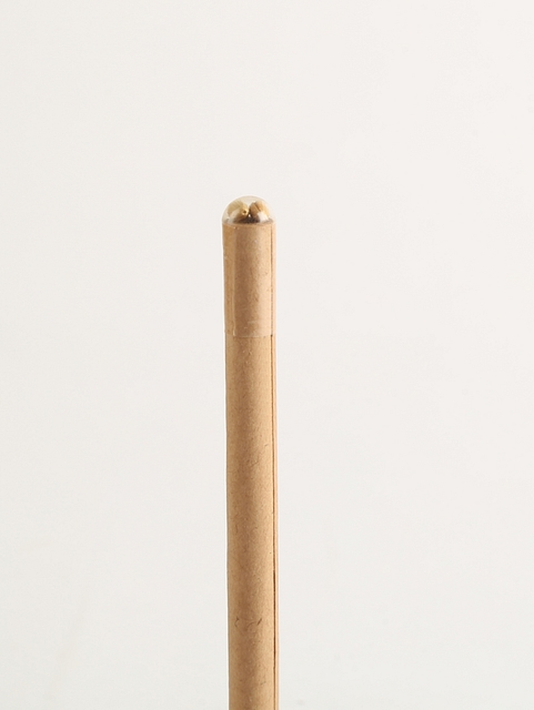 Sow and Grow Plantable Seed Pen