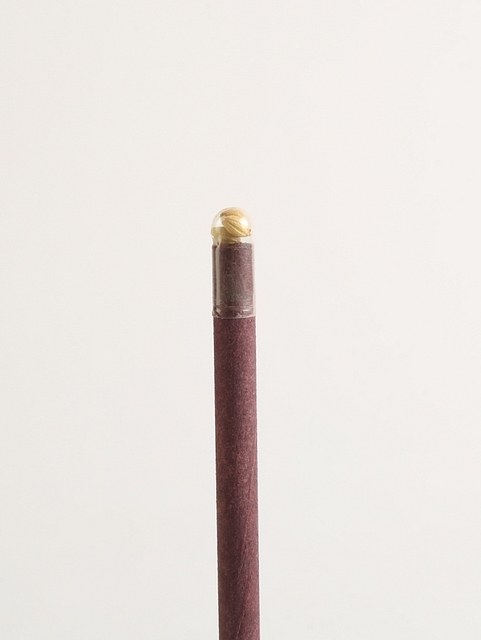 Plantable Seed Paper Pencils - Fenugreek