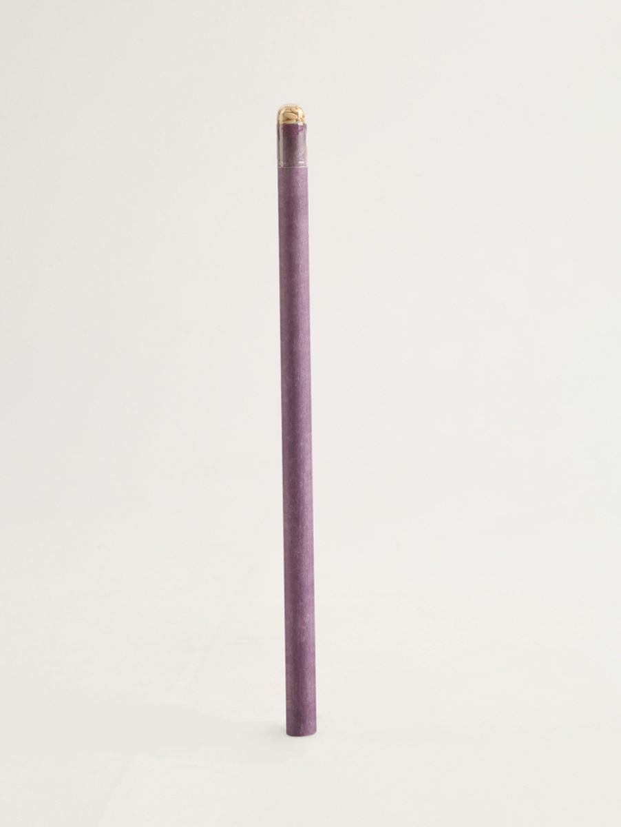 Plantable Seed Paper Pencils - Coriander