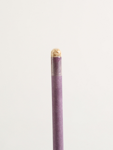 Plantable Seed Paper Pencils - Coriander