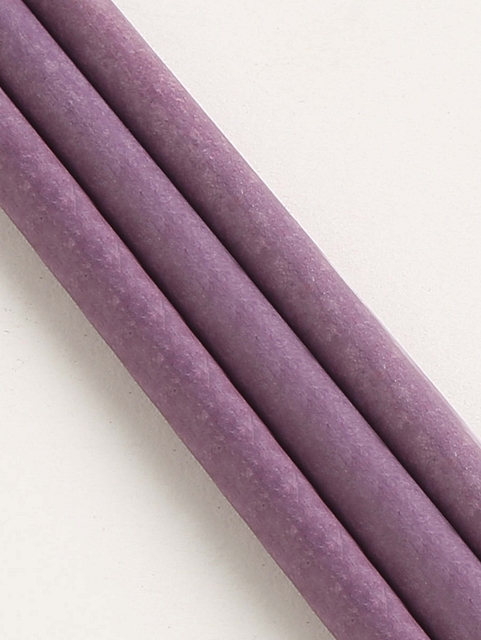 Plantable Seed Paper Pencils - Coriander
