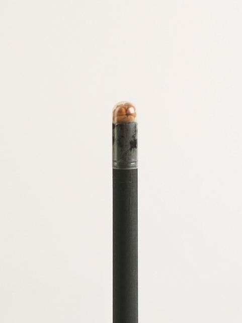 Plantable Seed Paper Pencils - Sesame